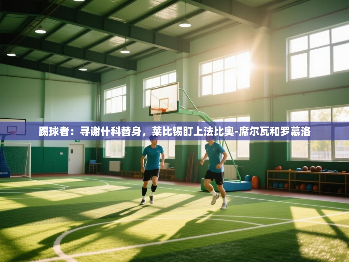 踢球者：寻谢什科替身，莱比锡盯上法比奥-席尔瓦和罗慕洛  第2张