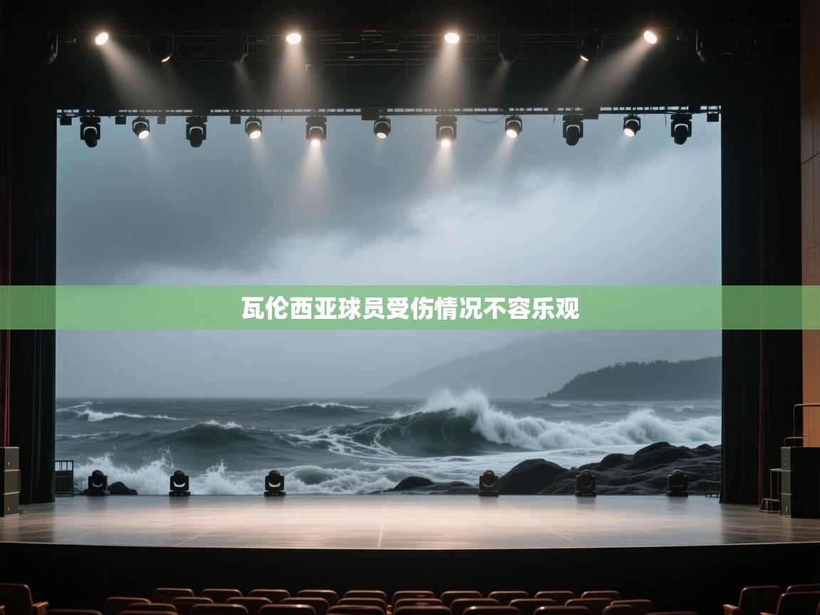 瓦伦西亚球员受伤情况不容乐观  第1张