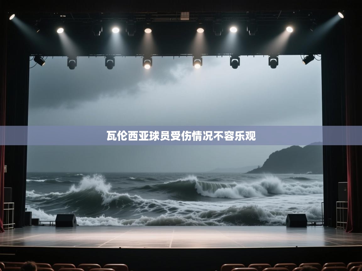 瓦伦西亚球员受伤情况不容乐观  第2张