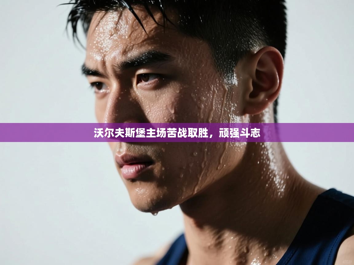 沃尔夫斯堡主场苦战取胜,顽强斗志 第1张