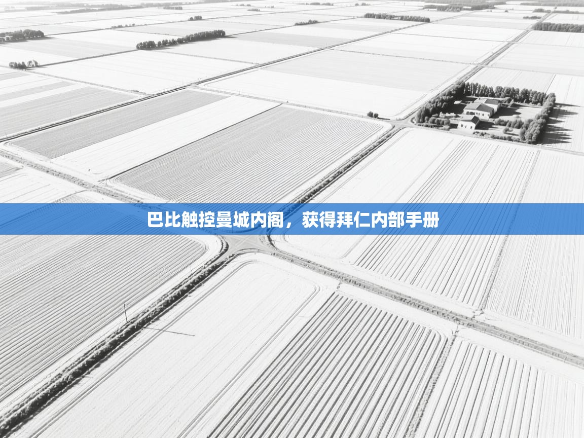 巴比触控曼城内阁，获得拜仁内部手册  第1张