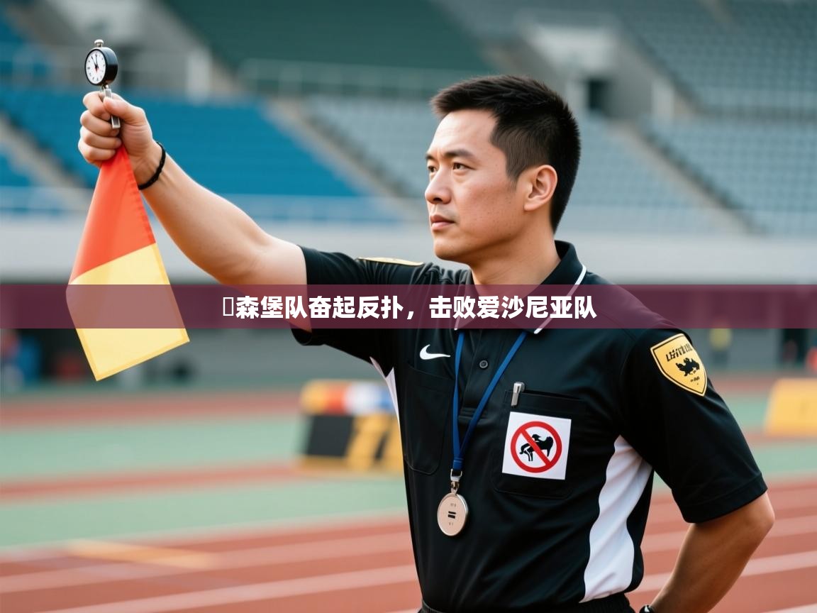 盧森堡队奋起反扑，击败爱沙尼亚队  第2张