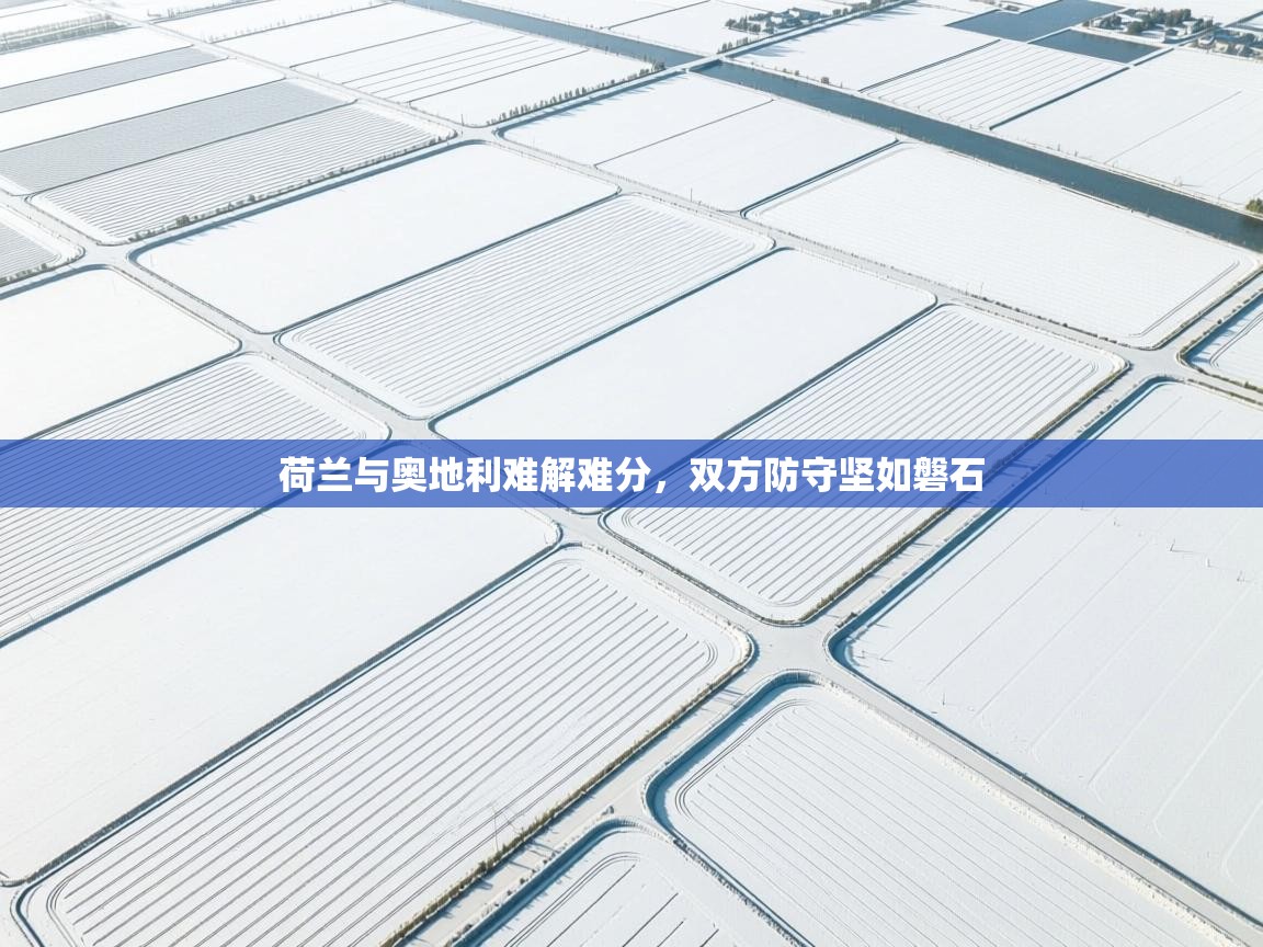 荷兰与奥地利难解难分，双方防守坚如磐石  第1张